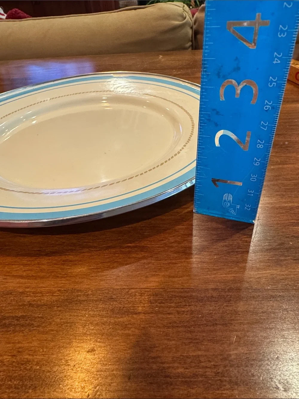 NWOT Target American Picnic Enamel Plate 11”White With Blue Trim Rope Metal NEW!